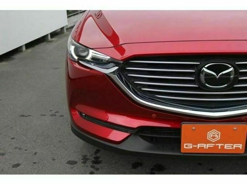 CX-8