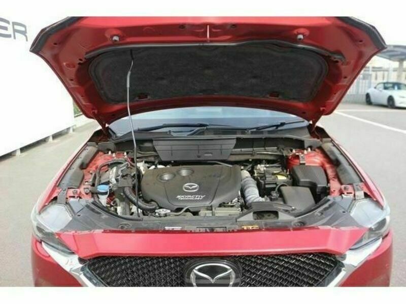 CX-5-18