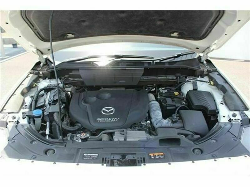 CX-8