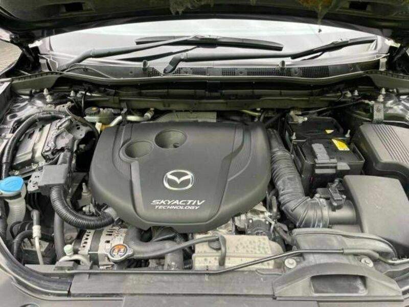 CX-5-17