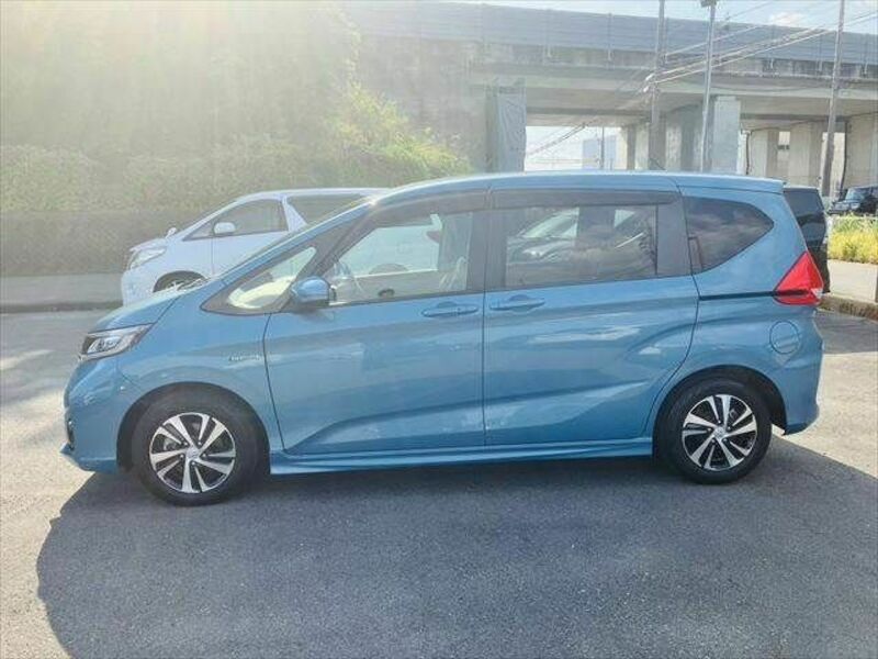 FREED HYBRID-21