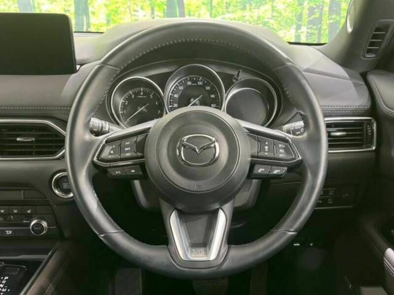 CX-8-10