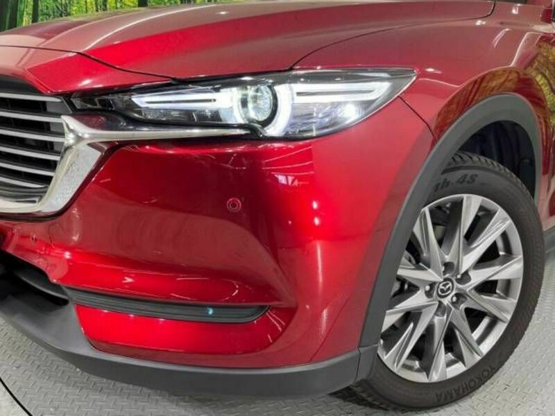CX-8-11