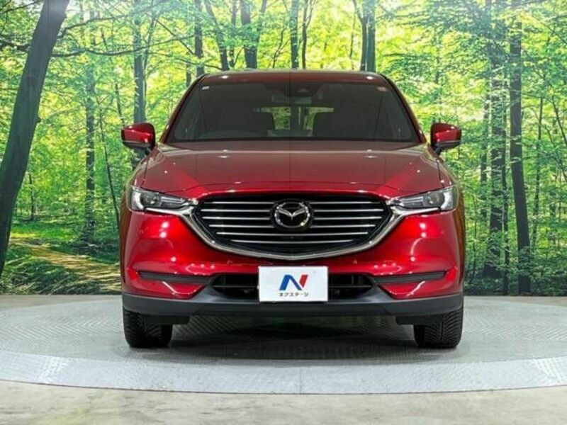 CX-8-13