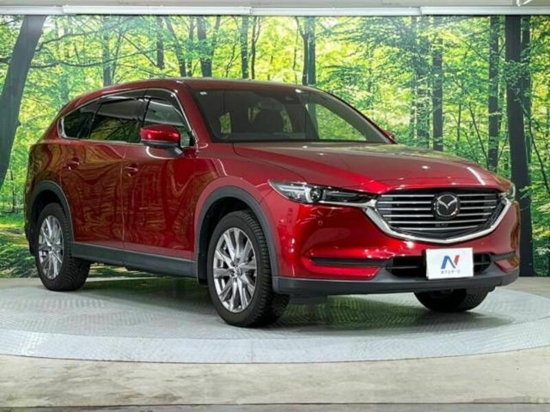 CX-8-15