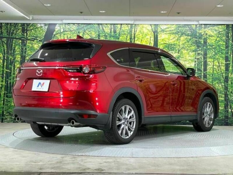CX-8-16