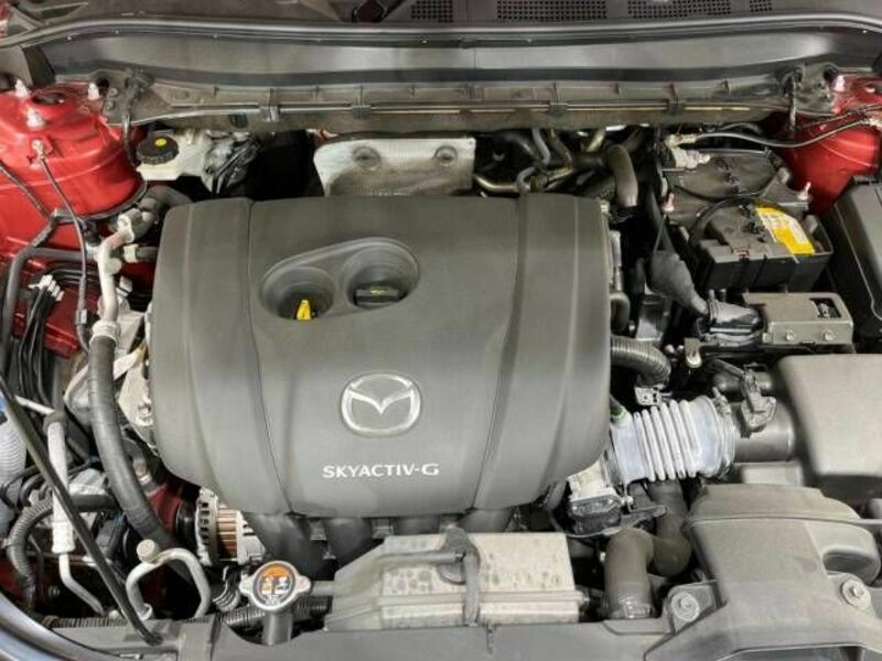 CX-8-17
