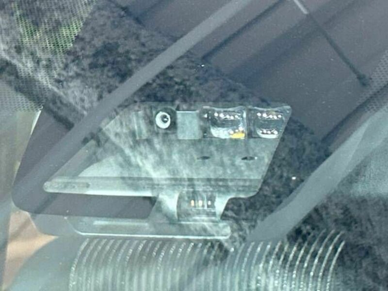 VOXY-4