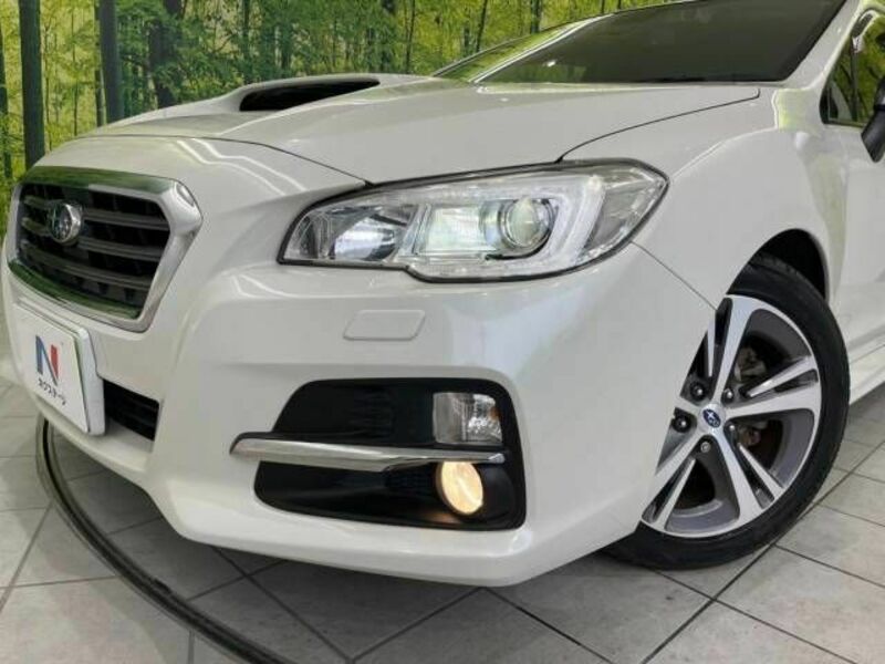 LEVORG