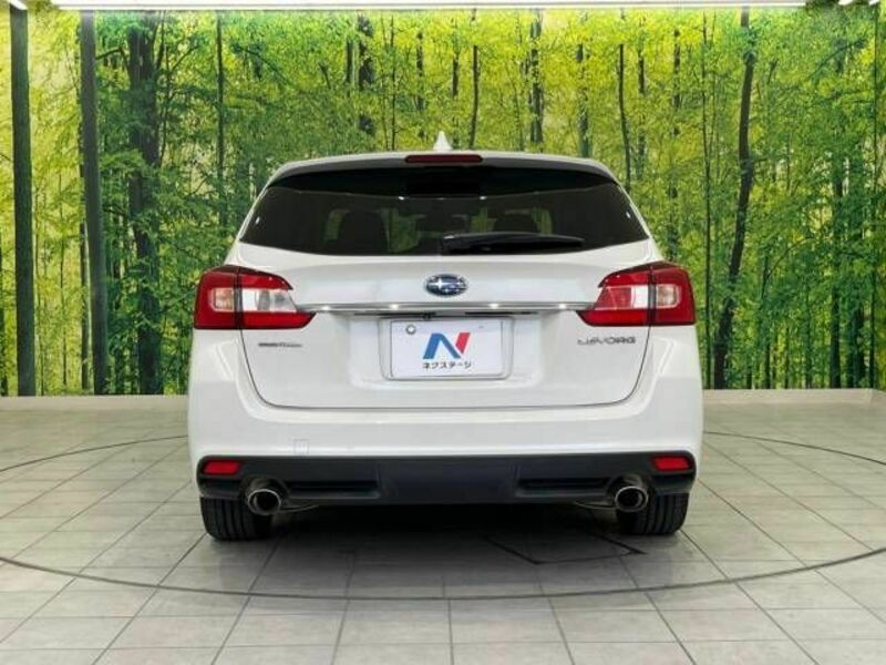 LEVORG