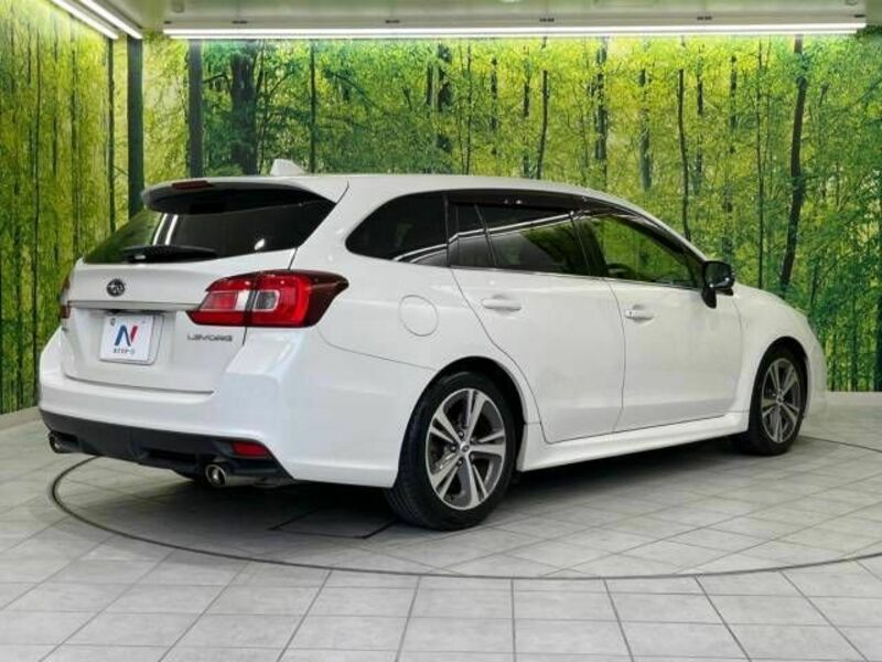 LEVORG