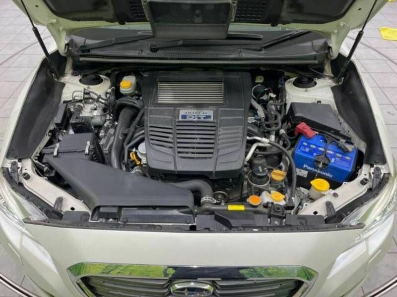 LEVORG