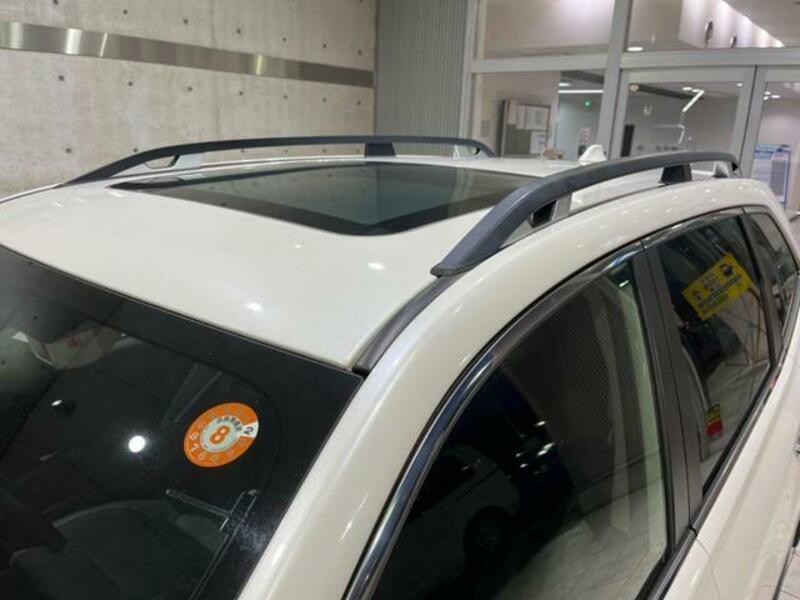 FORESTER-4