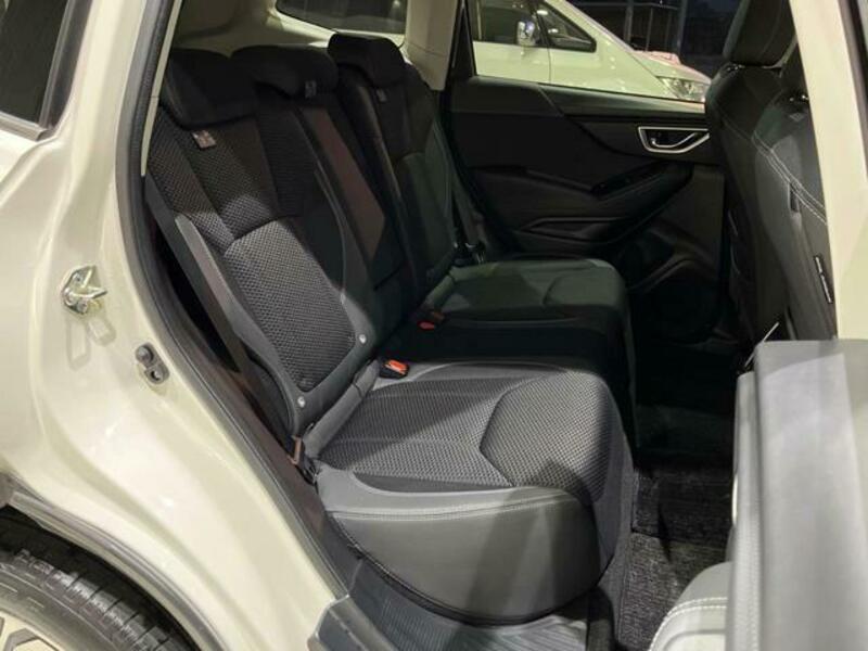 FORESTER-17