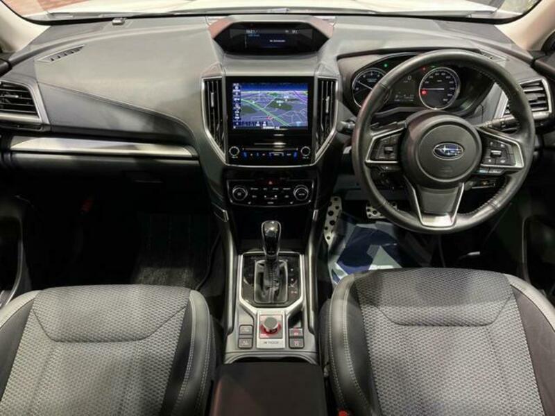 FORESTER-1