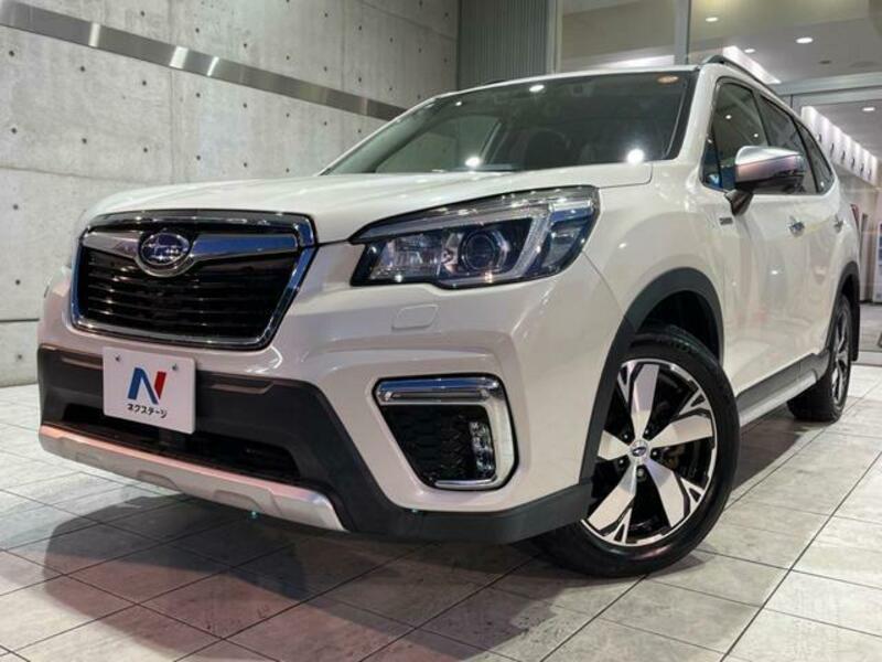 FORESTER-13