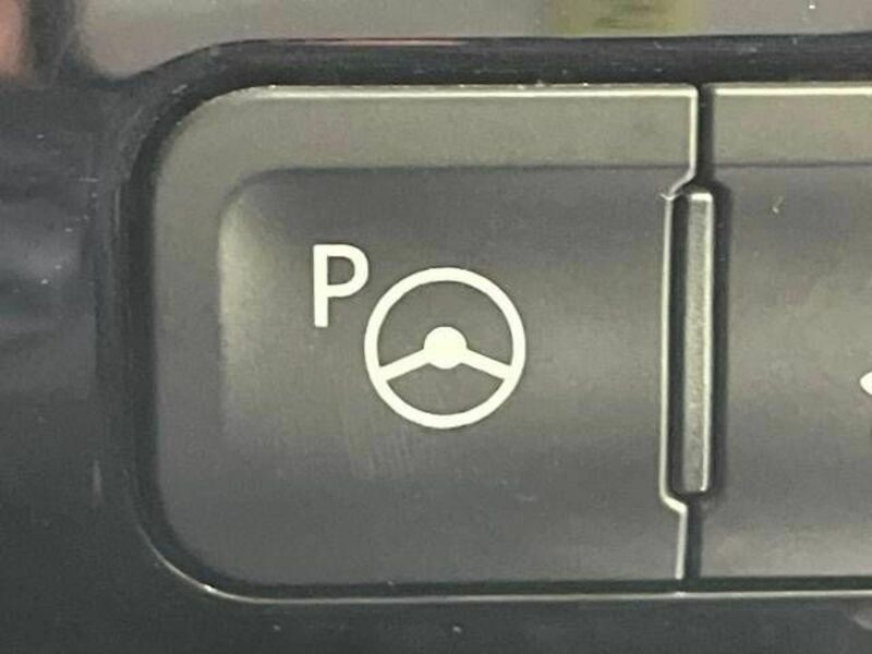 PRIUS-6