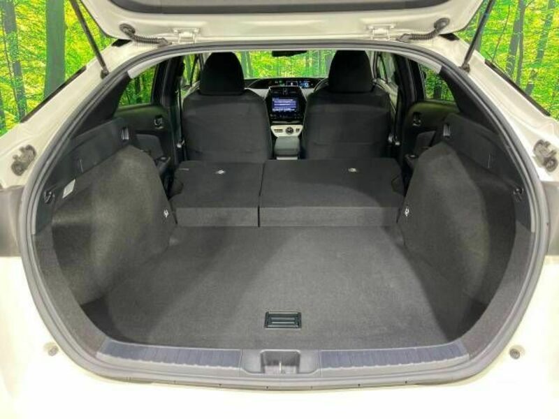PRIUS-9