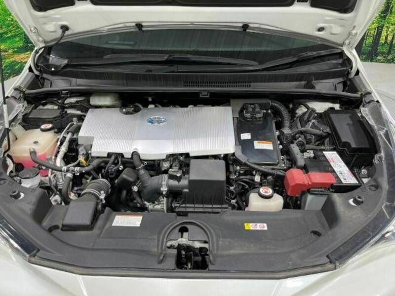 PRIUS-17