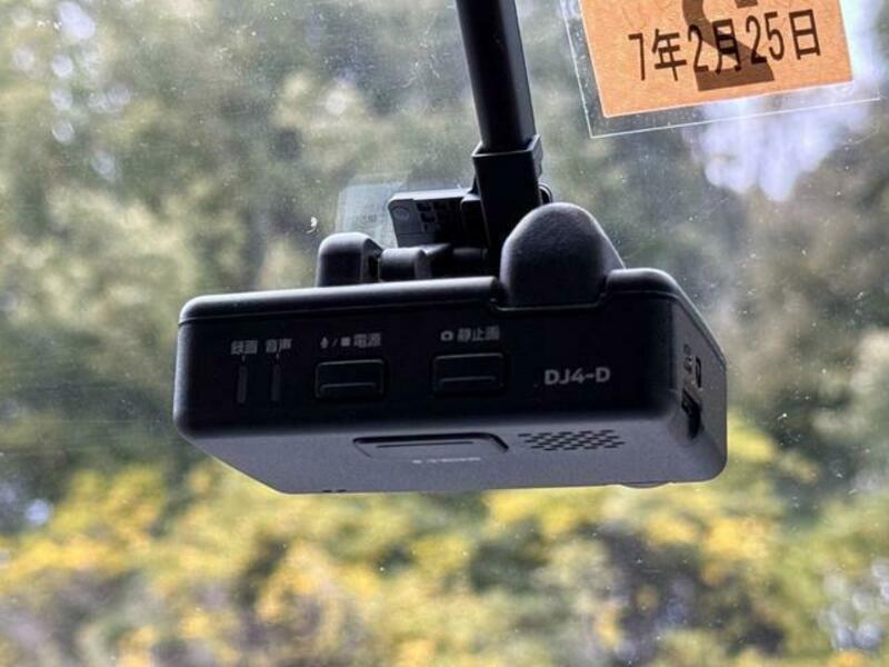 DAYZ ROOX