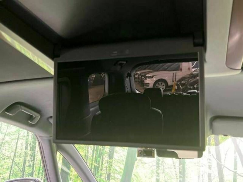 ALPHARD-4