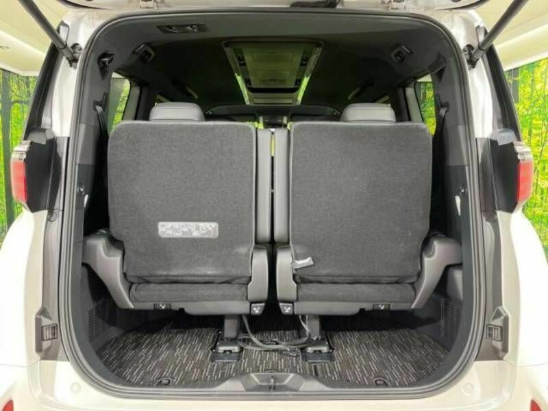 ALPHARD-9