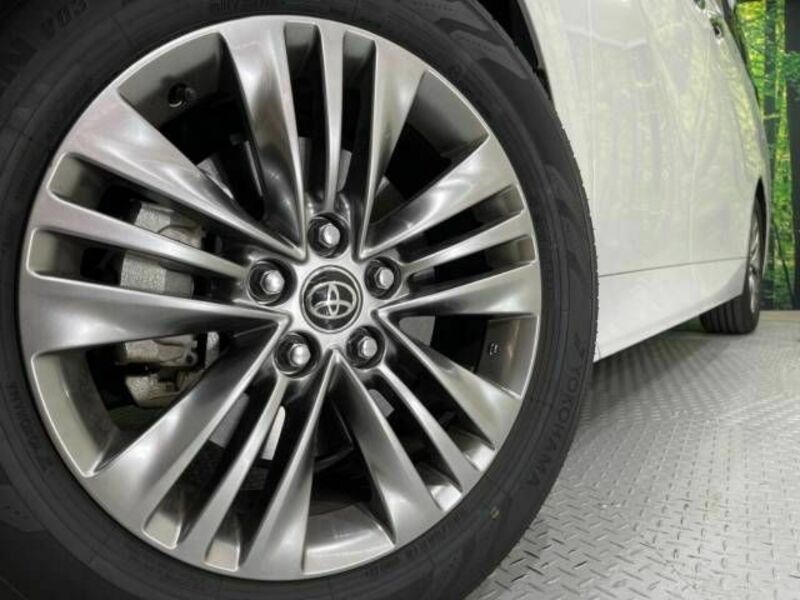 ALPHARD-12