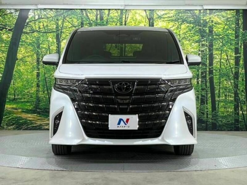 ALPHARD-13