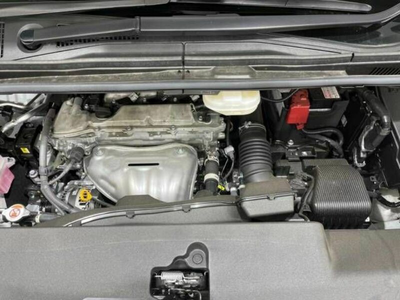 ALPHARD-17
