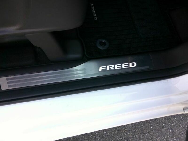 FREED HYBRID-17