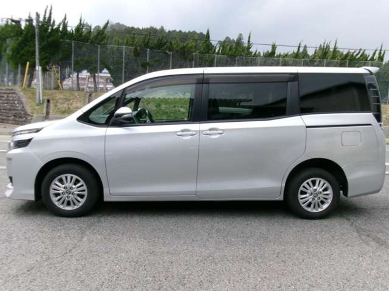 VOXY-11