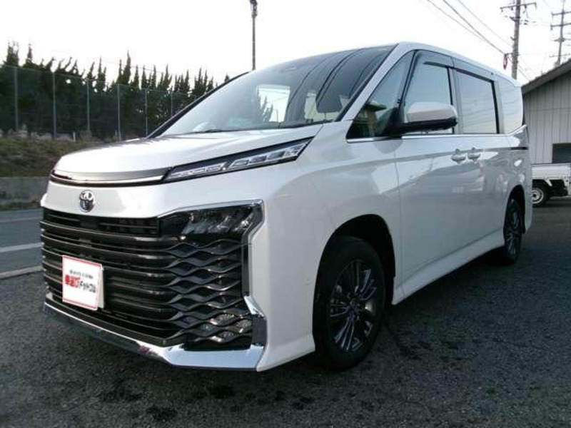 VOXY-6