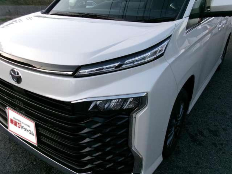 VOXY-11