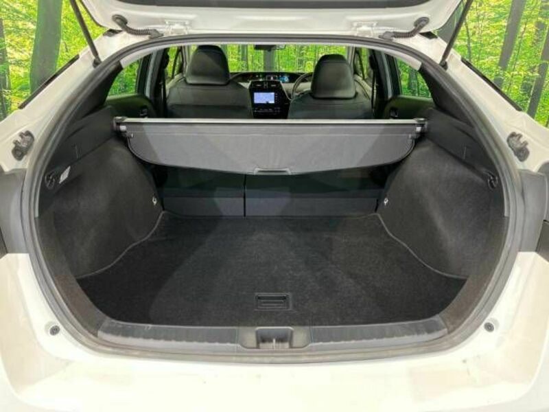 PRIUS-11