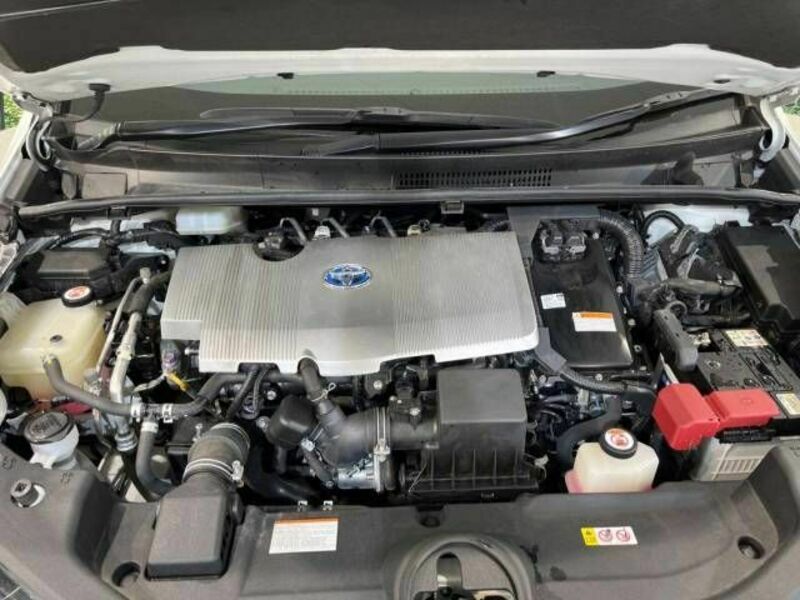 PRIUS-19