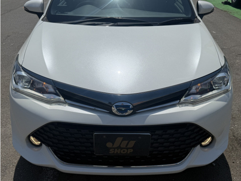 COROLLA FIELDER-14