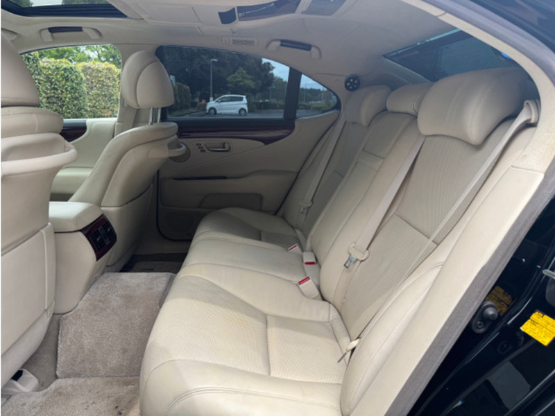 LS-19