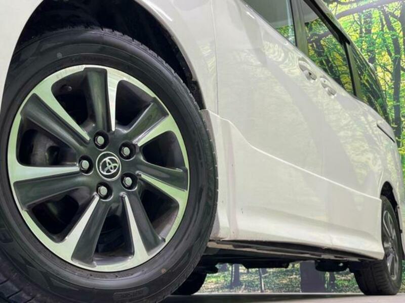 VOXY-12