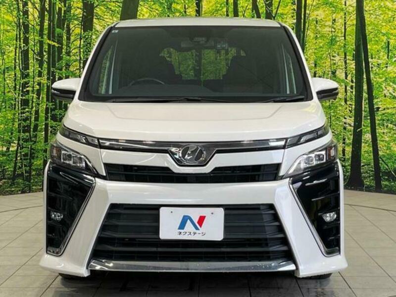 VOXY-14