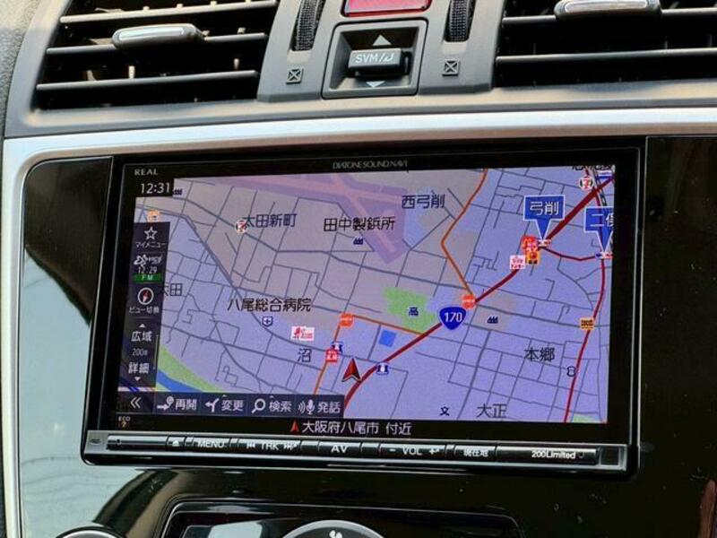 LEVORG-10