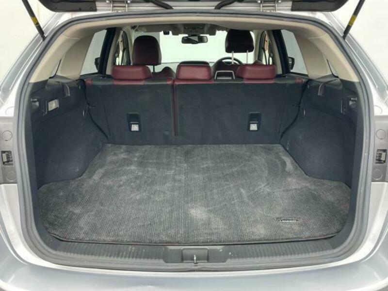 LEVORG-9