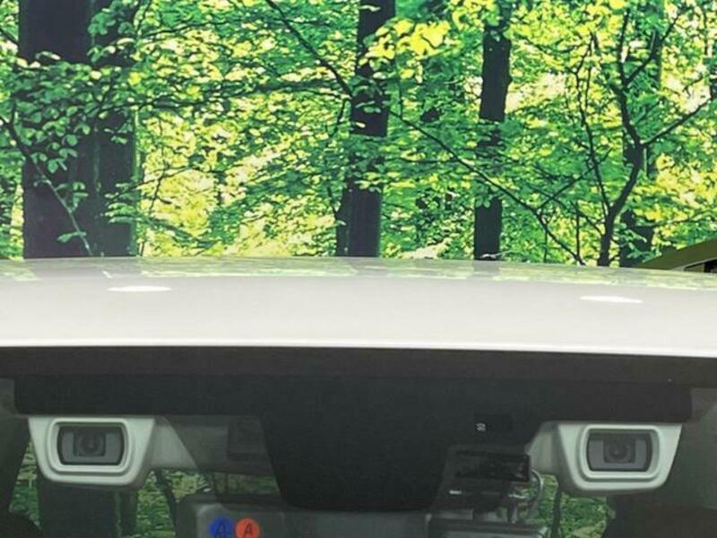 FORESTER-4