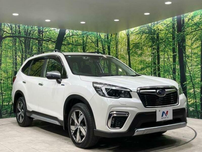 FORESTER-15