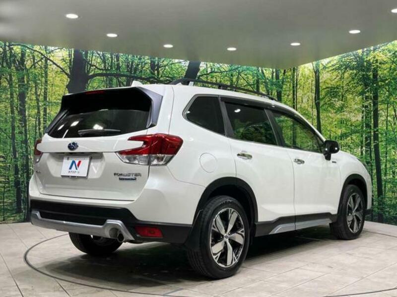 FORESTER-16