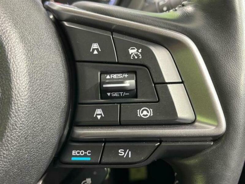 FORESTER-5