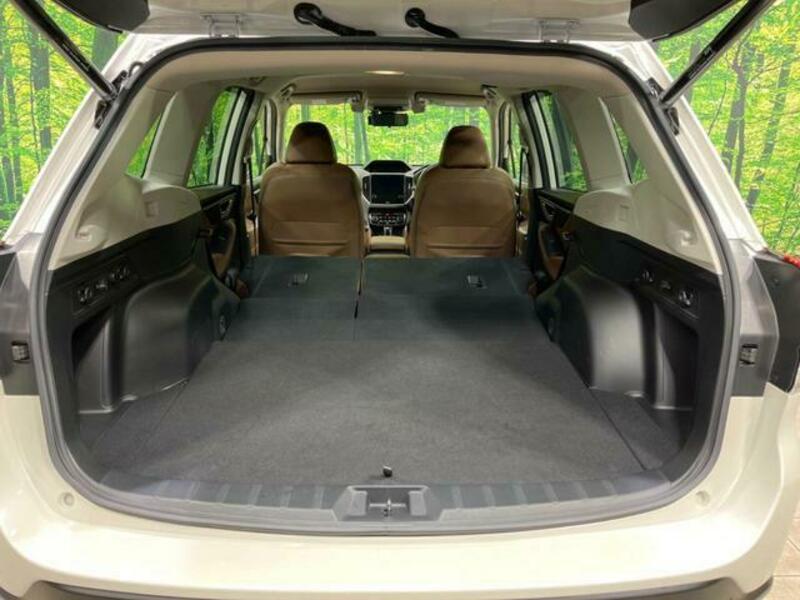 FORESTER-9