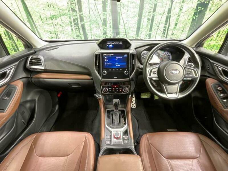 FORESTER-1