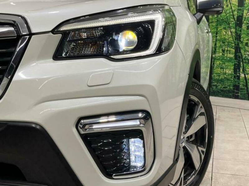 FORESTER-11