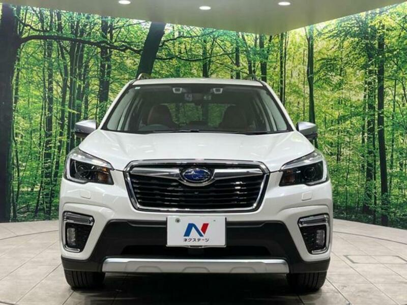 FORESTER-13