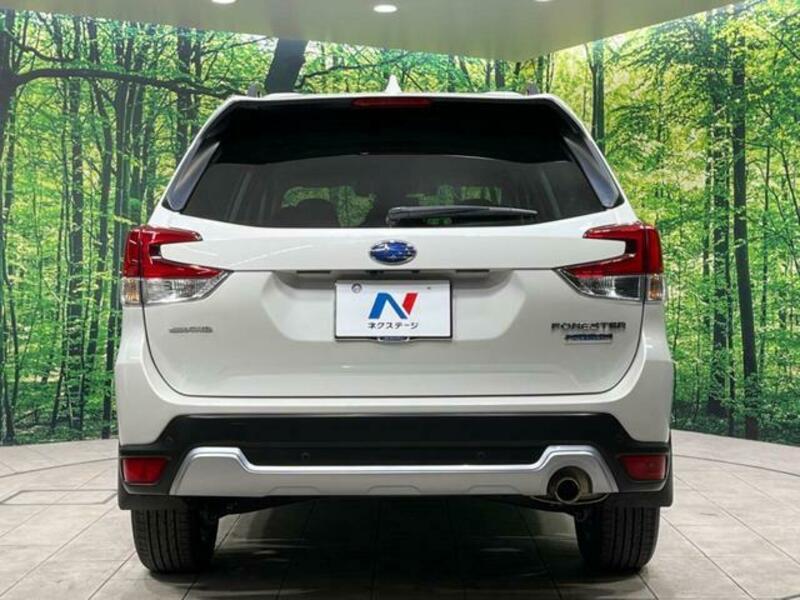 FORESTER-14